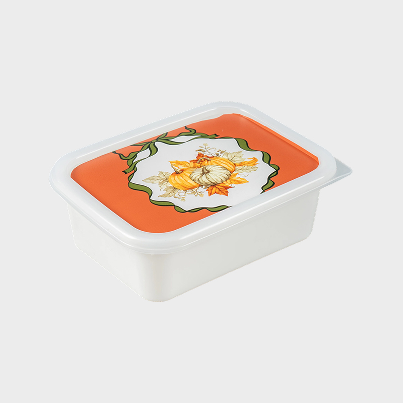 Scatola portaoggetti in plastica PFB067